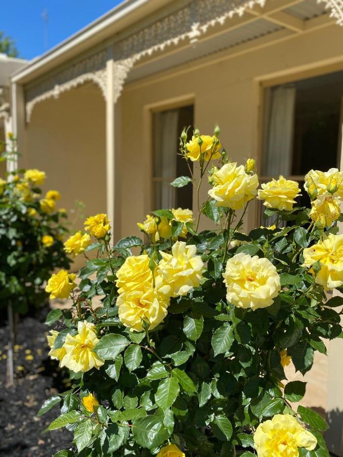 Acacia Terraces Lejlighedshotel Echuca Eksteriør billede