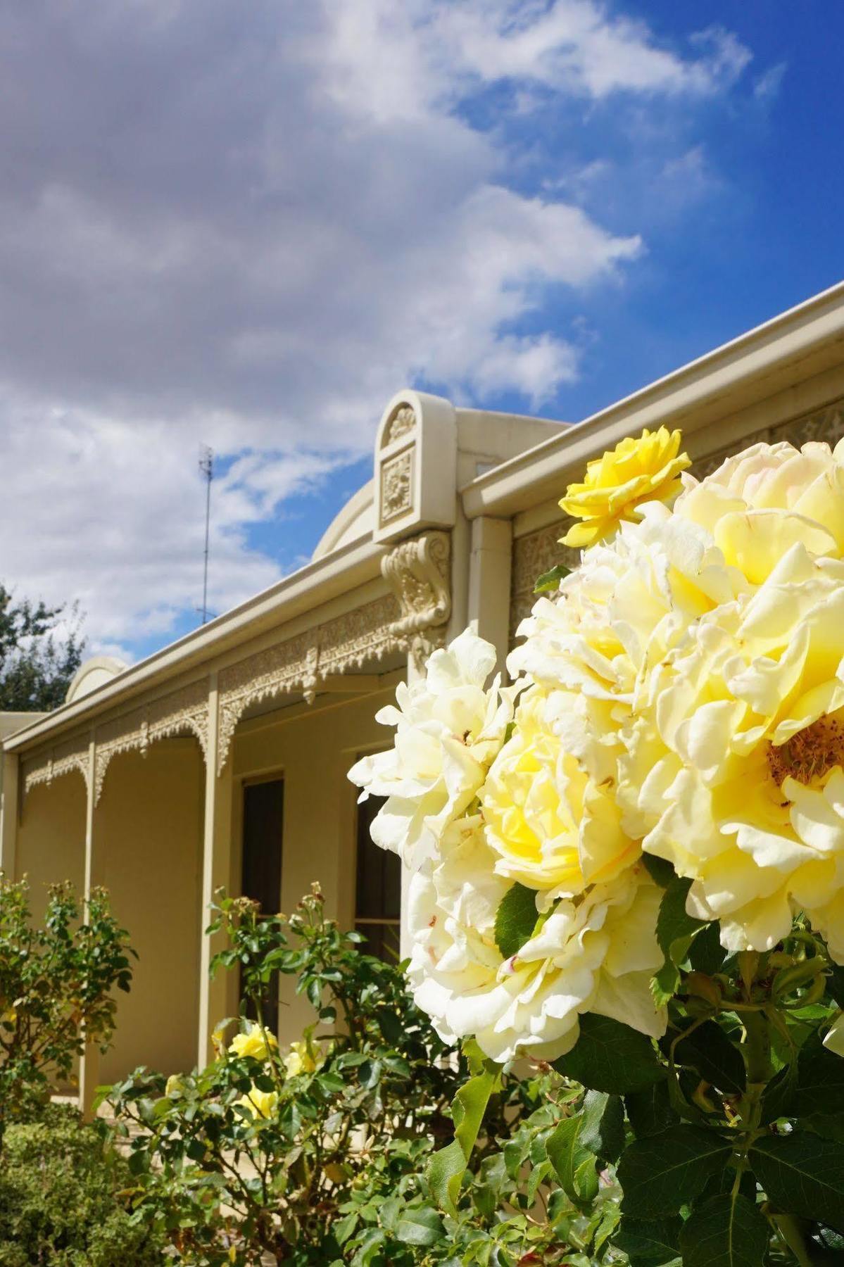 Acacia Terraces Lejlighedshotel Echuca Eksteriør billede